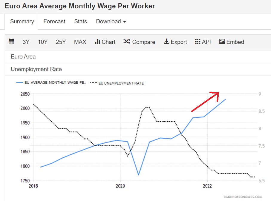 euro average wage
